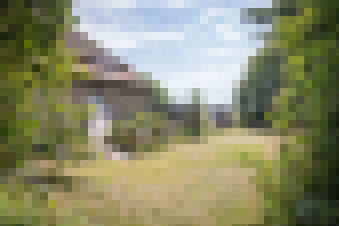 Zuid Haffel 40 Den Burg thumbnail 28