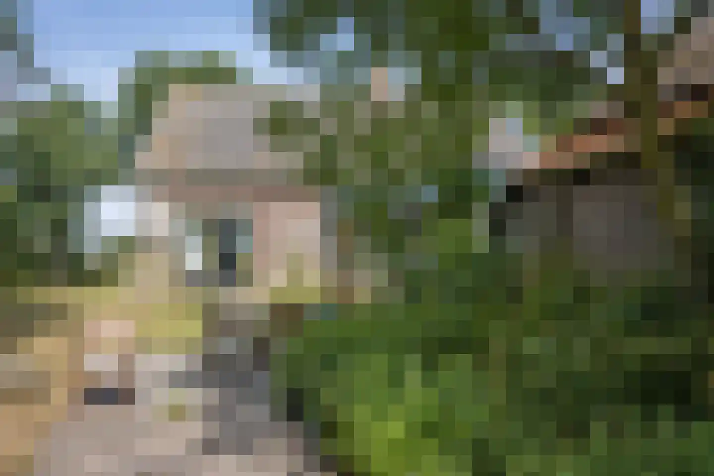 Zuid Haffel 40 Den Burg thumbnail 30