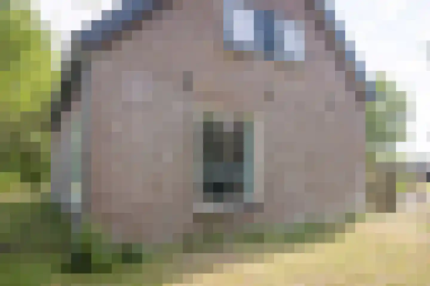 Zuid Haffel 40 Den Burg thumbnail 31