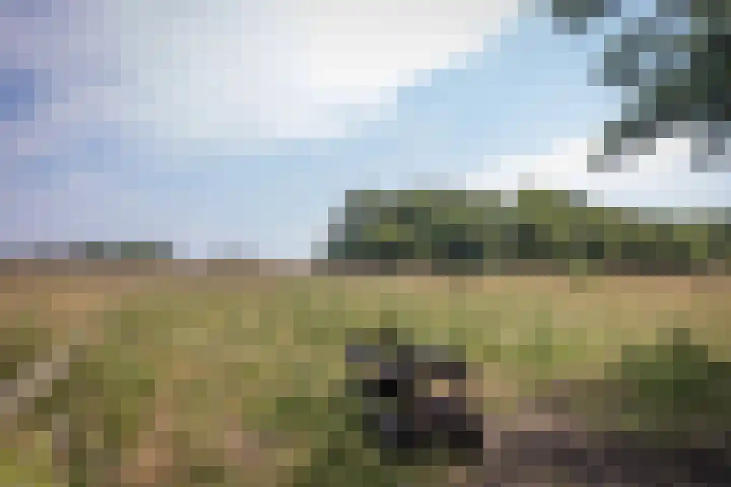 Zuid Haffel 40 Den Burg thumbnail 35