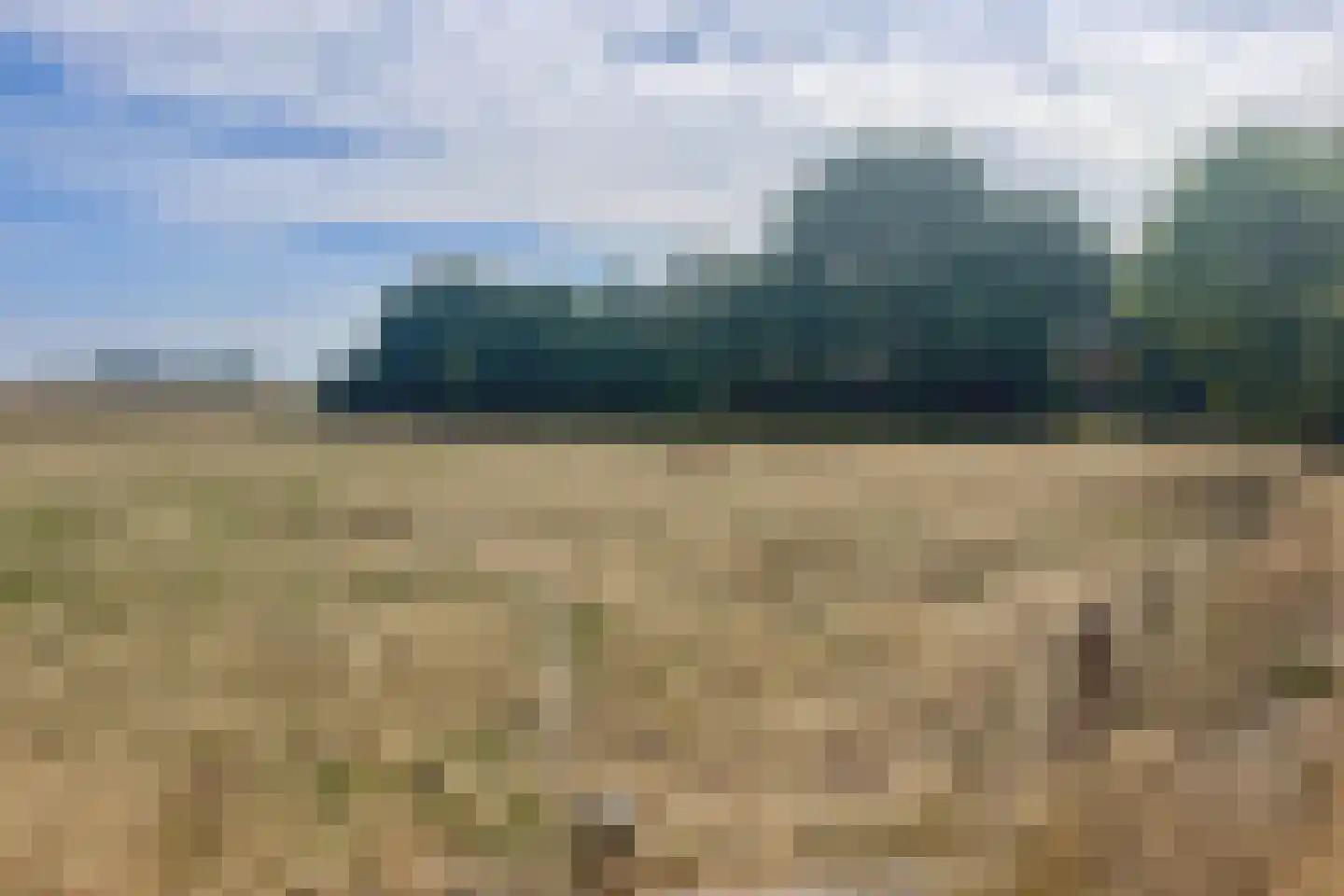 Zuid Haffel 40 Den Burg thumbnail 36