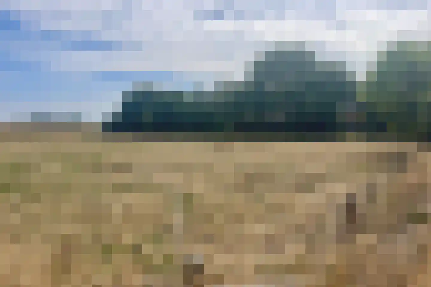 Zuid Haffel 40 Den Burg thumbnail 36