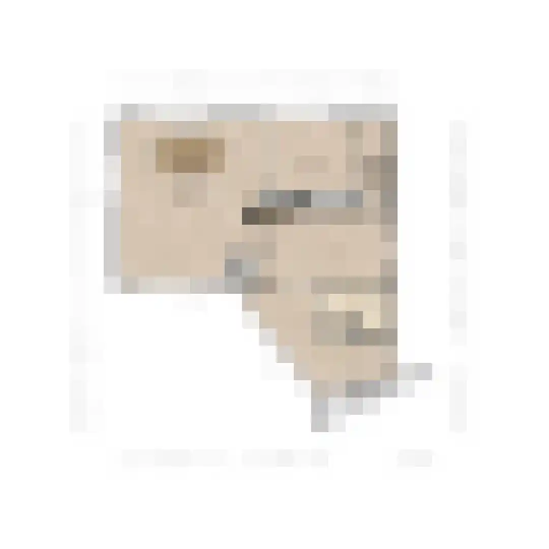 Zuid Haffel 40 Den Burg thumbnail 38