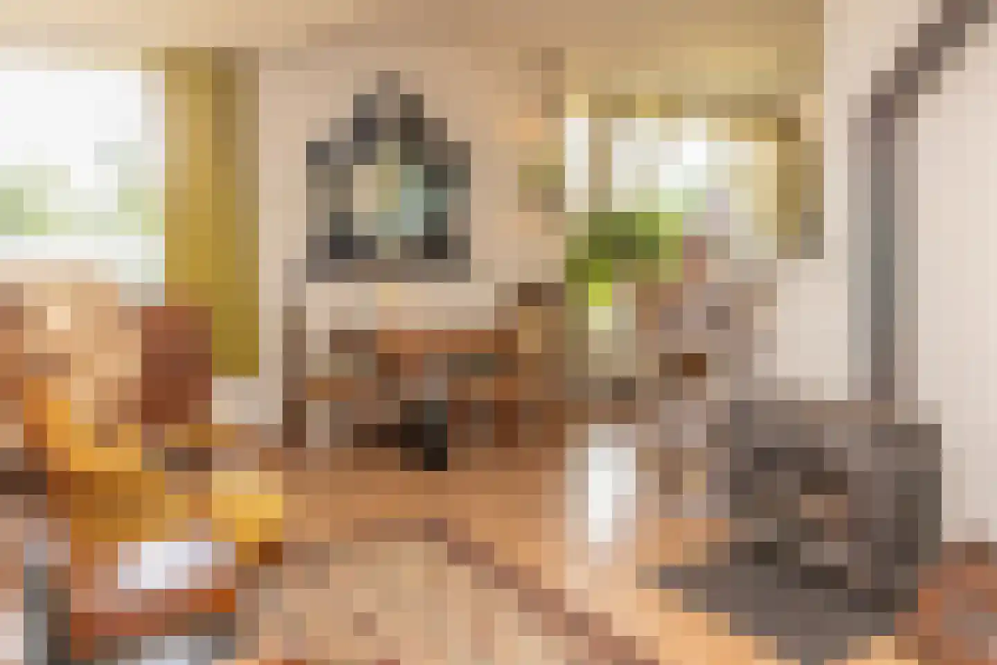 Zuid Haffel 40 Den Burg thumbnail 5