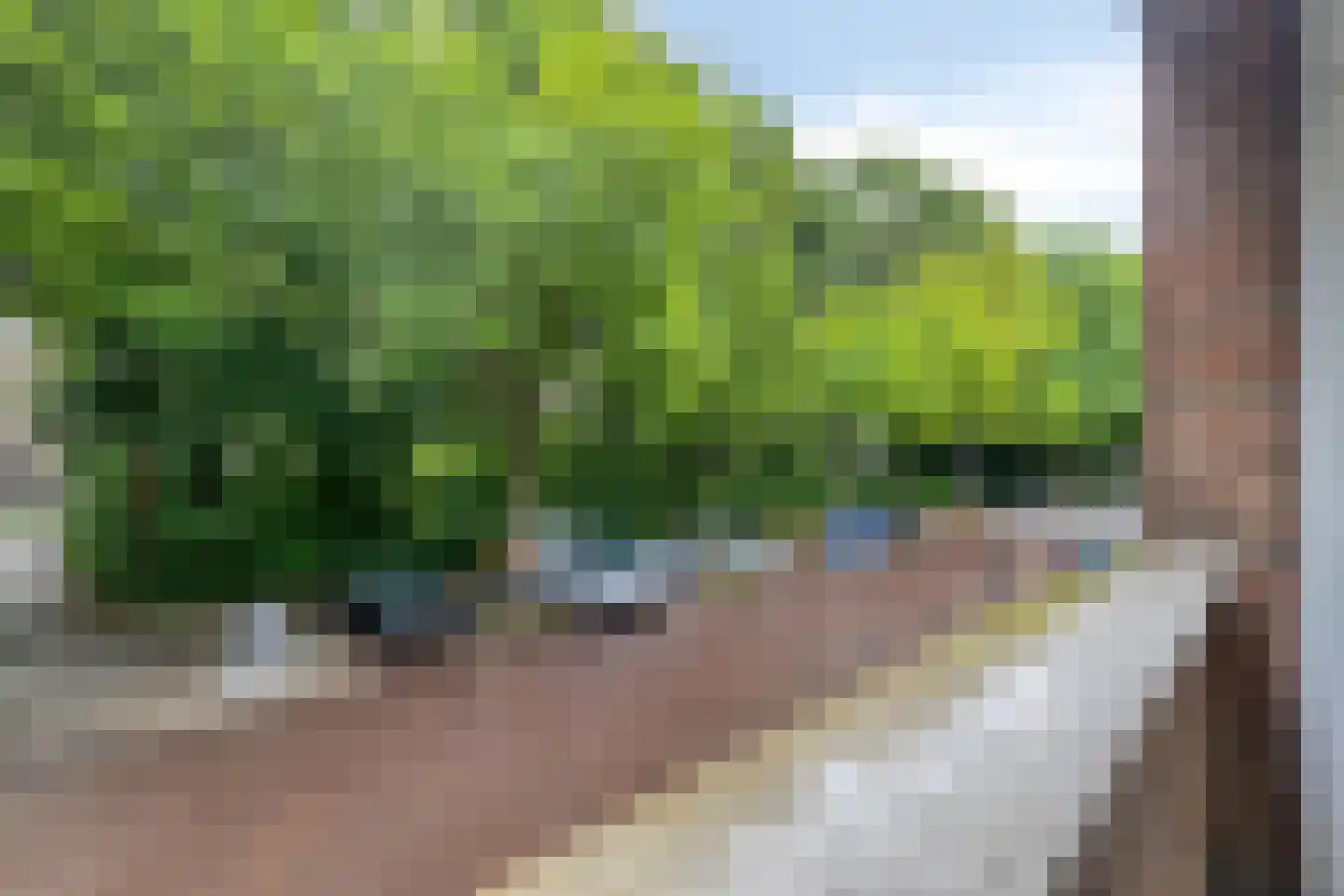 Zuid-Hollandstraat 72 1 Amsterdam thumbnail 20