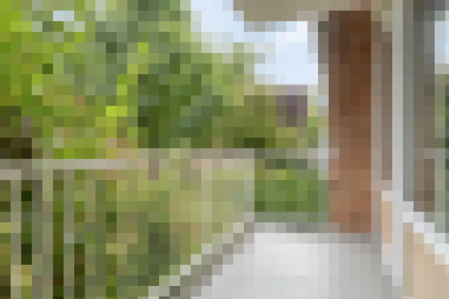 Zuid-Hollandstraat 72 1 Amsterdam thumbnail 7