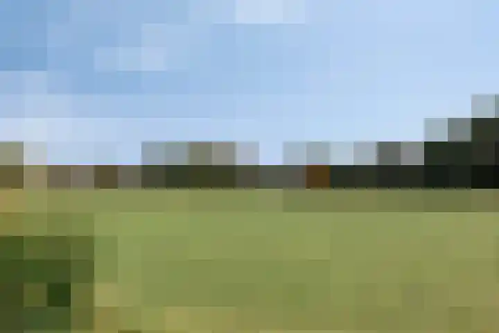 Zuid IJsseldijk 25 IJsselstein thumbnail 48