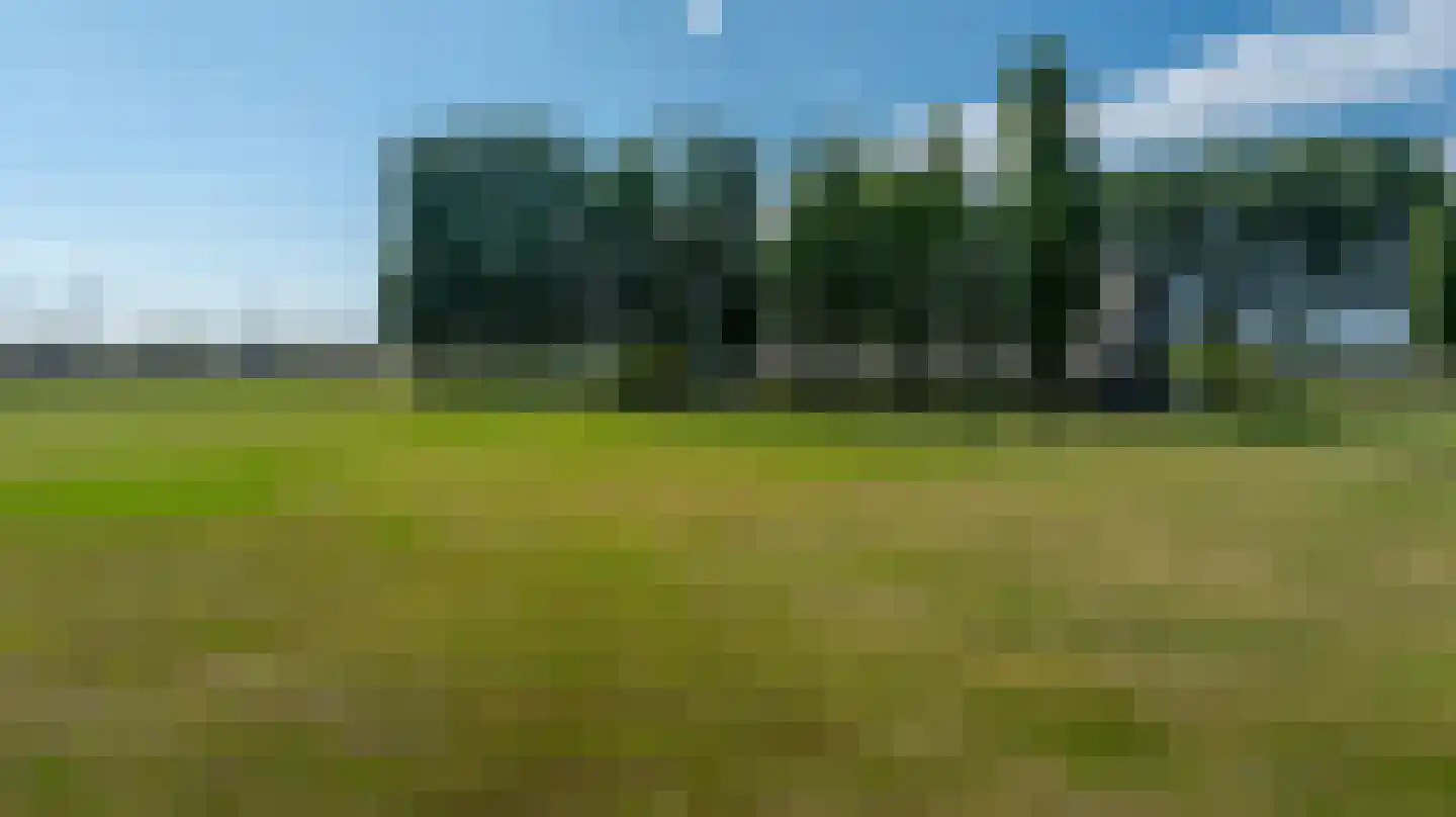 Zuid-Kavelsedijk 3 Strijen thumbnail 12