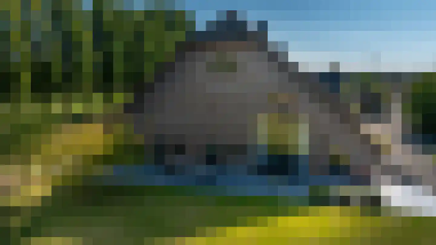 Zuid-Kavelsedijk 3 Strijen thumbnail 14