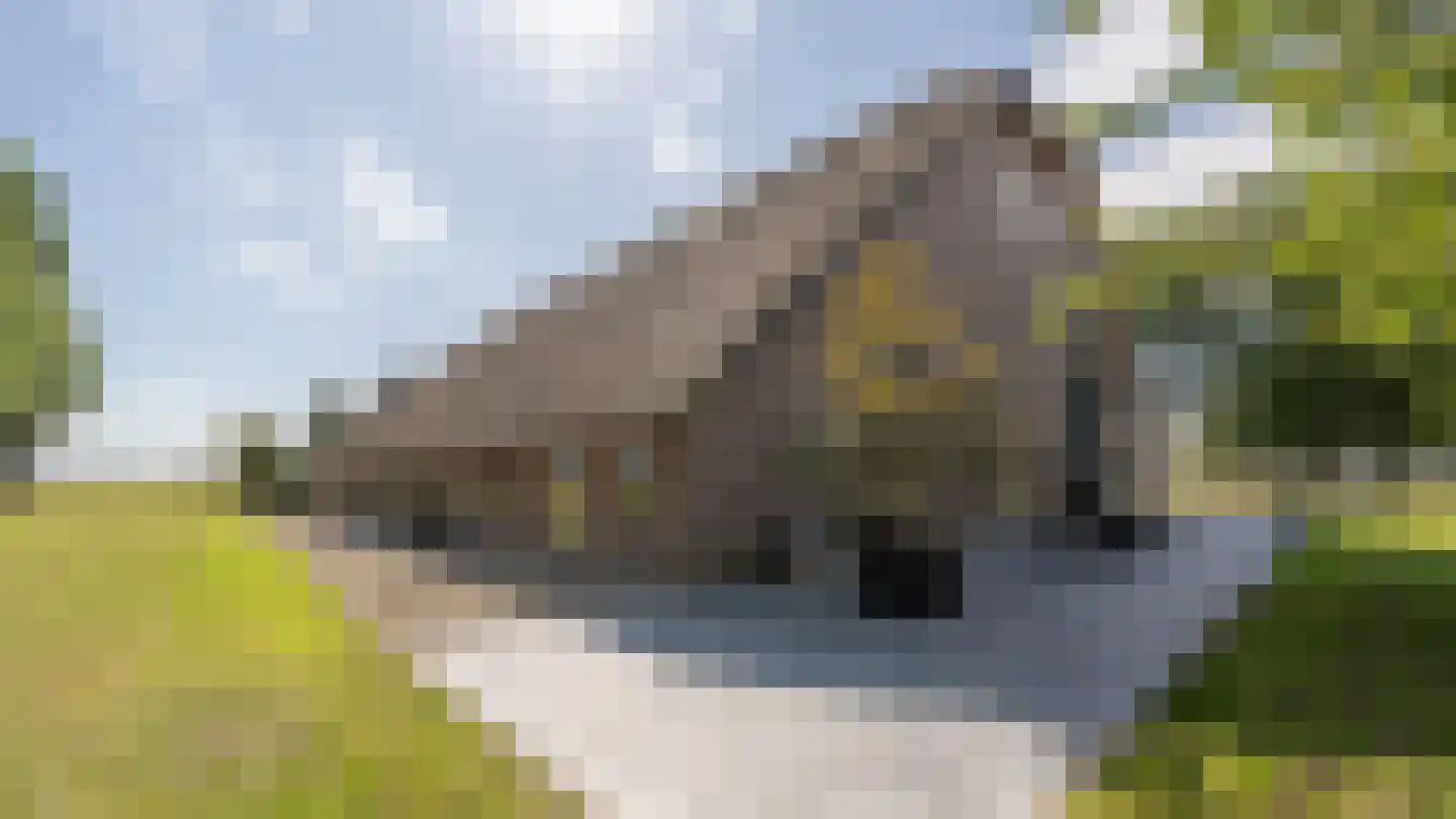 Zuid-Kavelsedijk 3 Strijen thumbnail 19
