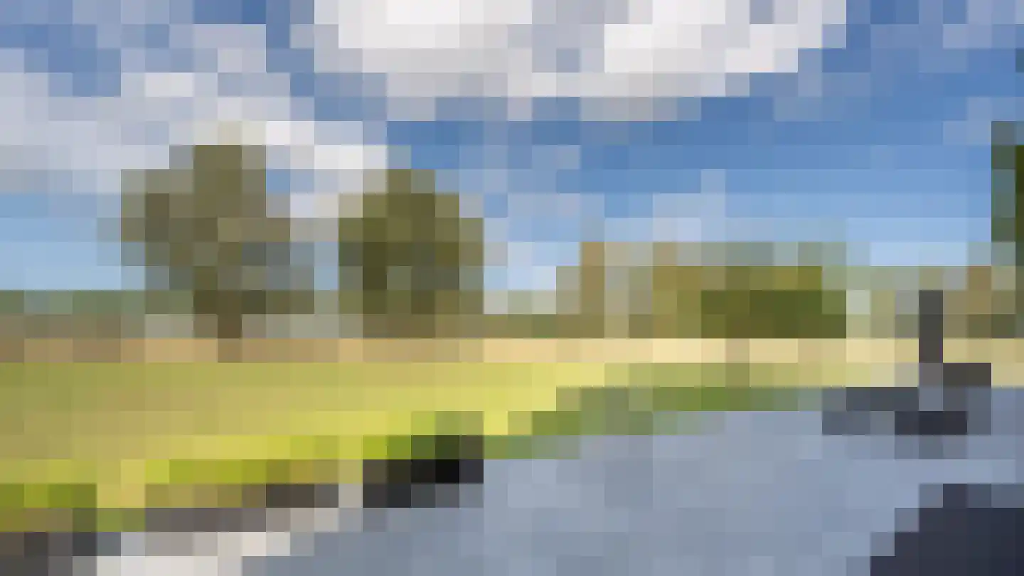 Zuid-Kavelsedijk 3 Strijen thumbnail 23