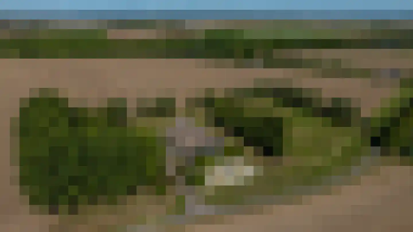 Zuid-Kavelsedijk 3 Strijen thumbnail 4