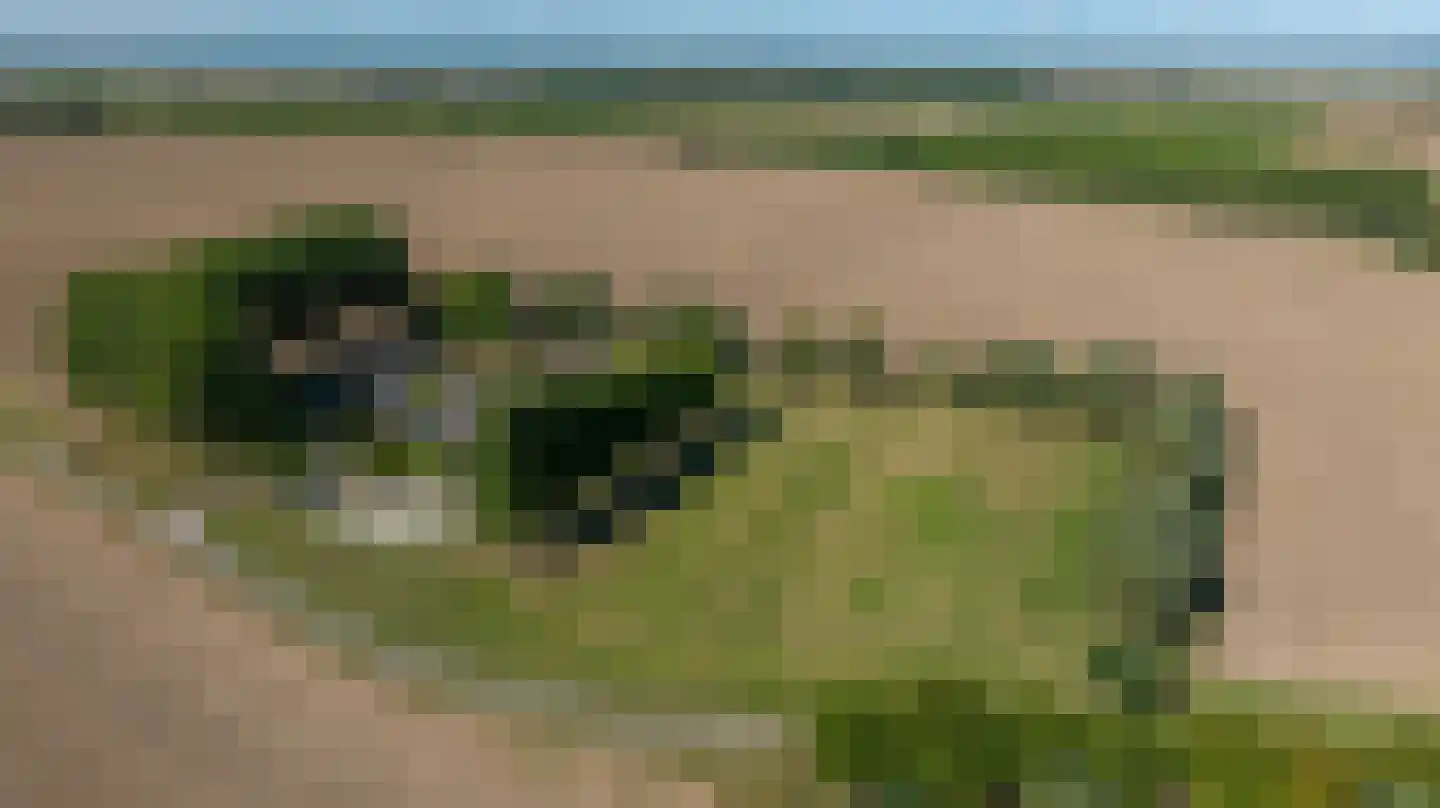 Zuid-Kavelsedijk 3 Strijen thumbnail 5