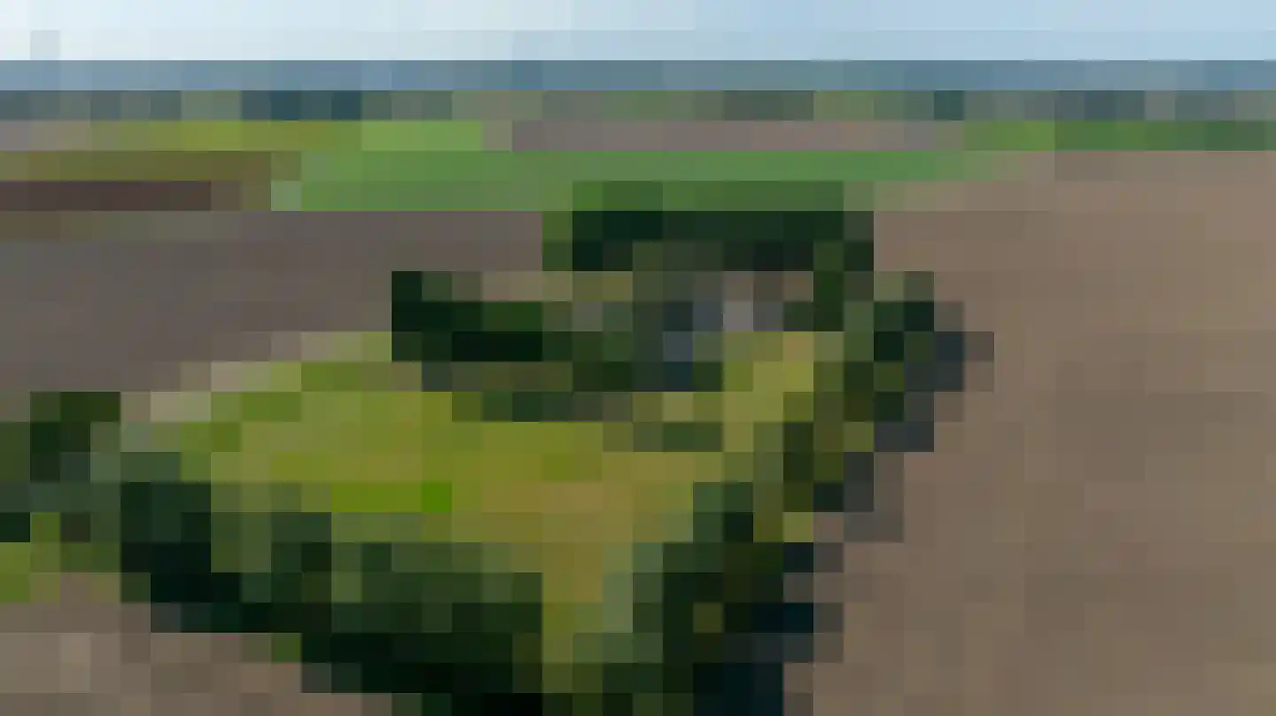 Zuid-Kavelsedijk 3 Strijen thumbnail 6