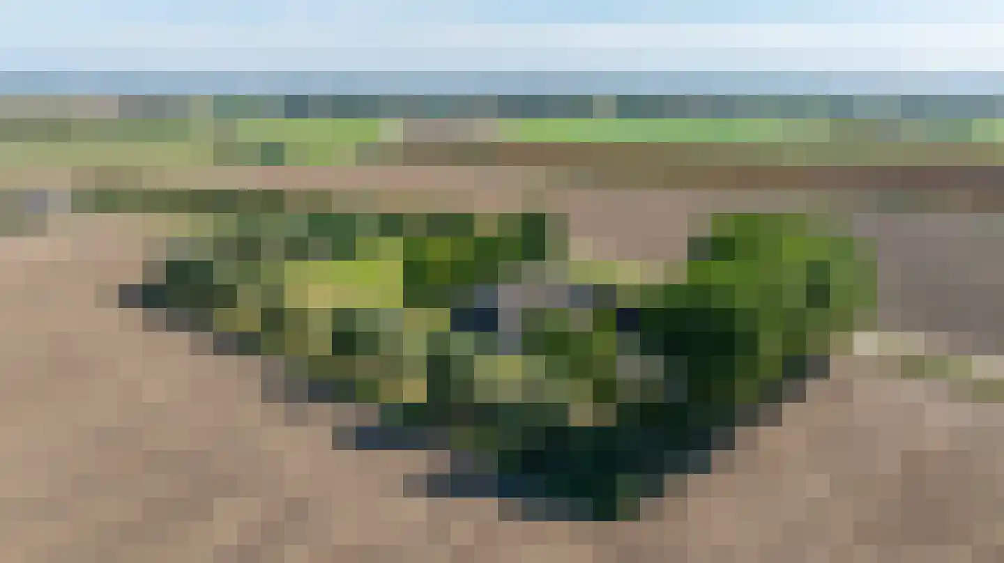 Zuid-Kavelsedijk 3 Strijen thumbnail 7