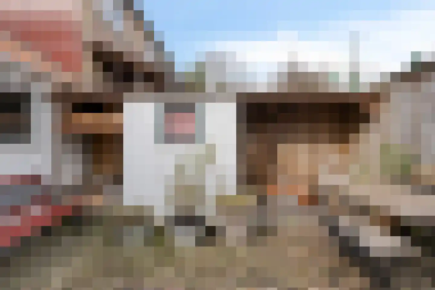 Zuid-Kerkstraat 47 Colijnsplaat thumbnail 25
