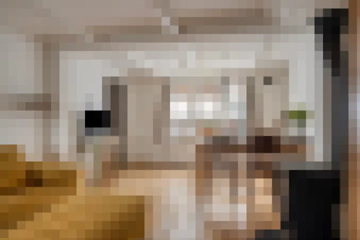 Zuid-Kerkstraat 47 Colijnsplaat thumbnail 9