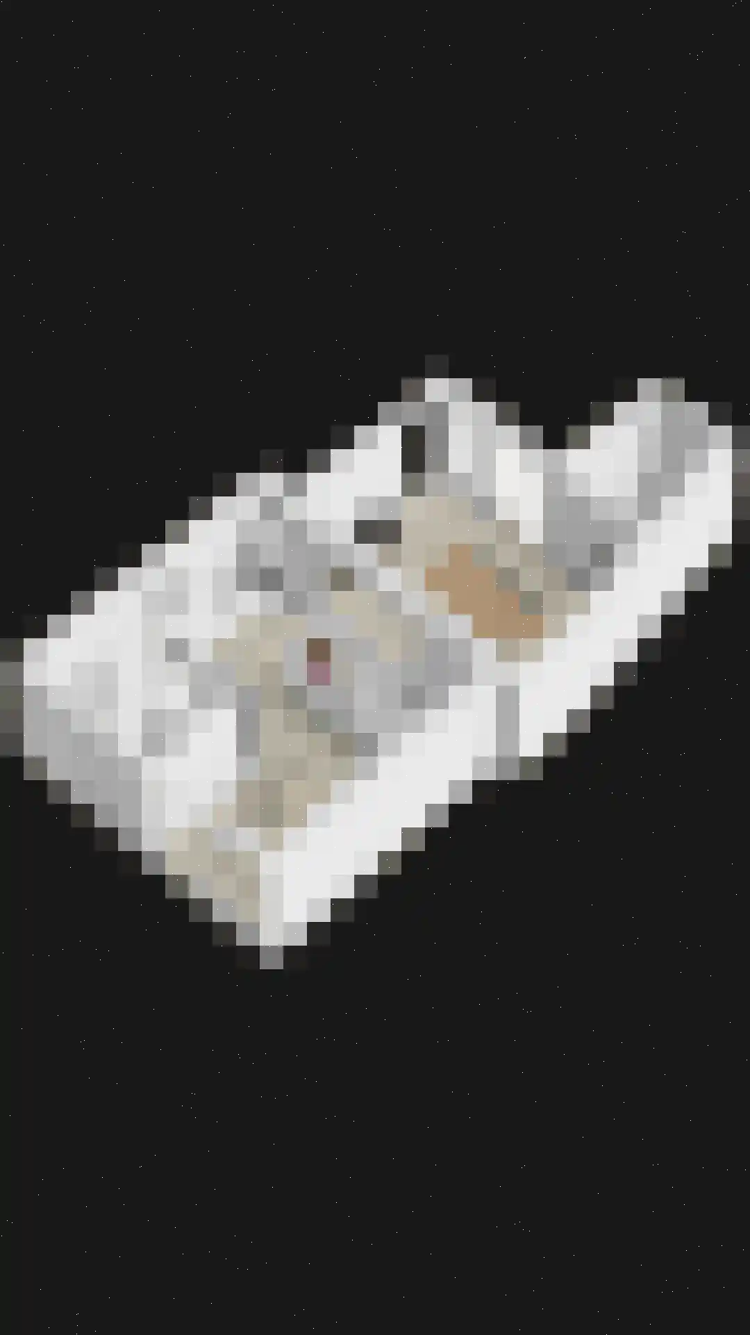 Zuid Koninginnewal 13 Helmond thumbnail 51