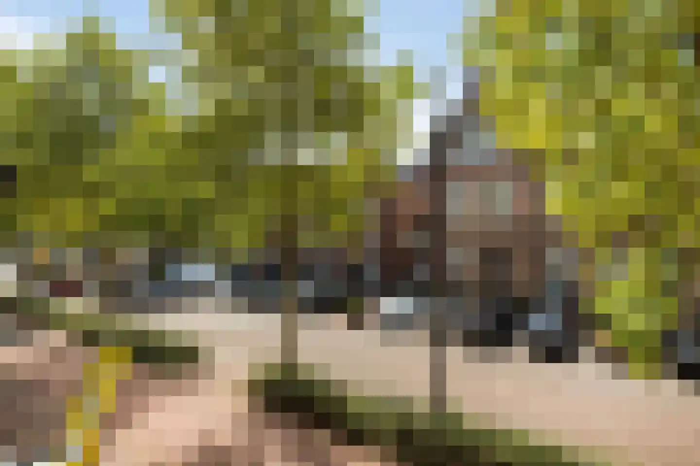 Zuid Koninginnewal 46 Helmond thumbnail 35