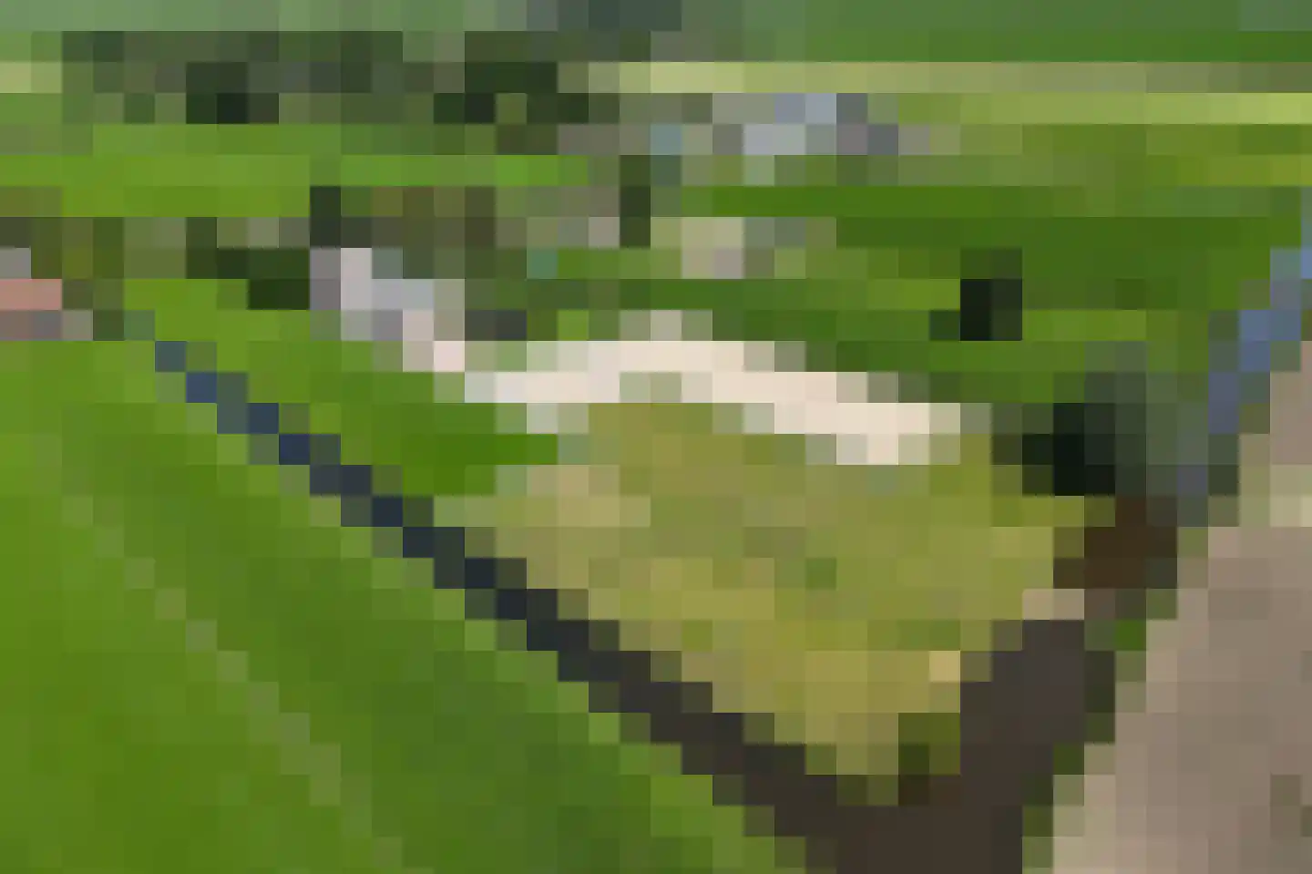 Zuid-Linschoterzandweg 67 Snelrewaard thumbnail 12