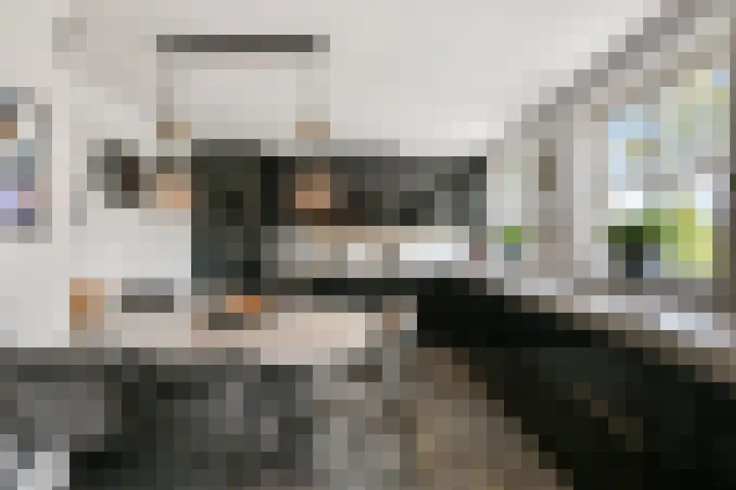 Zuid-Linschoterzandweg 67 Snelrewaard thumbnail 15