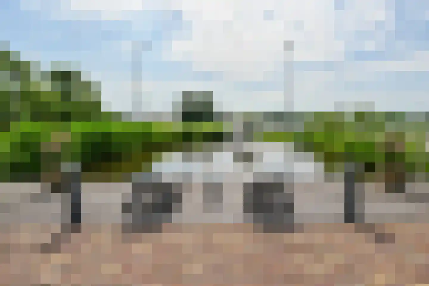 Zuid-Linschoterzandweg 67 Snelrewaard thumbnail 4