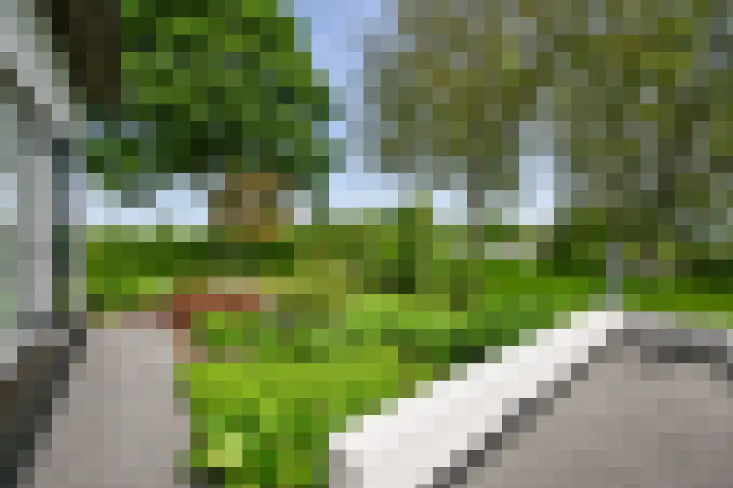 Zuid-Linschoterzandweg 67 Snelrewaard thumbnail 42