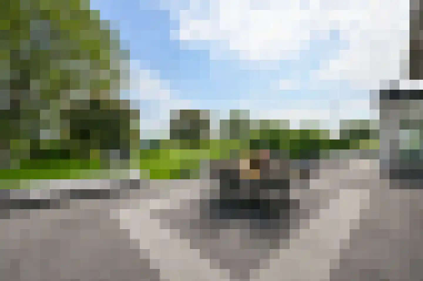 Zuid-Linschoterzandweg 67 Snelrewaard thumbnail 43