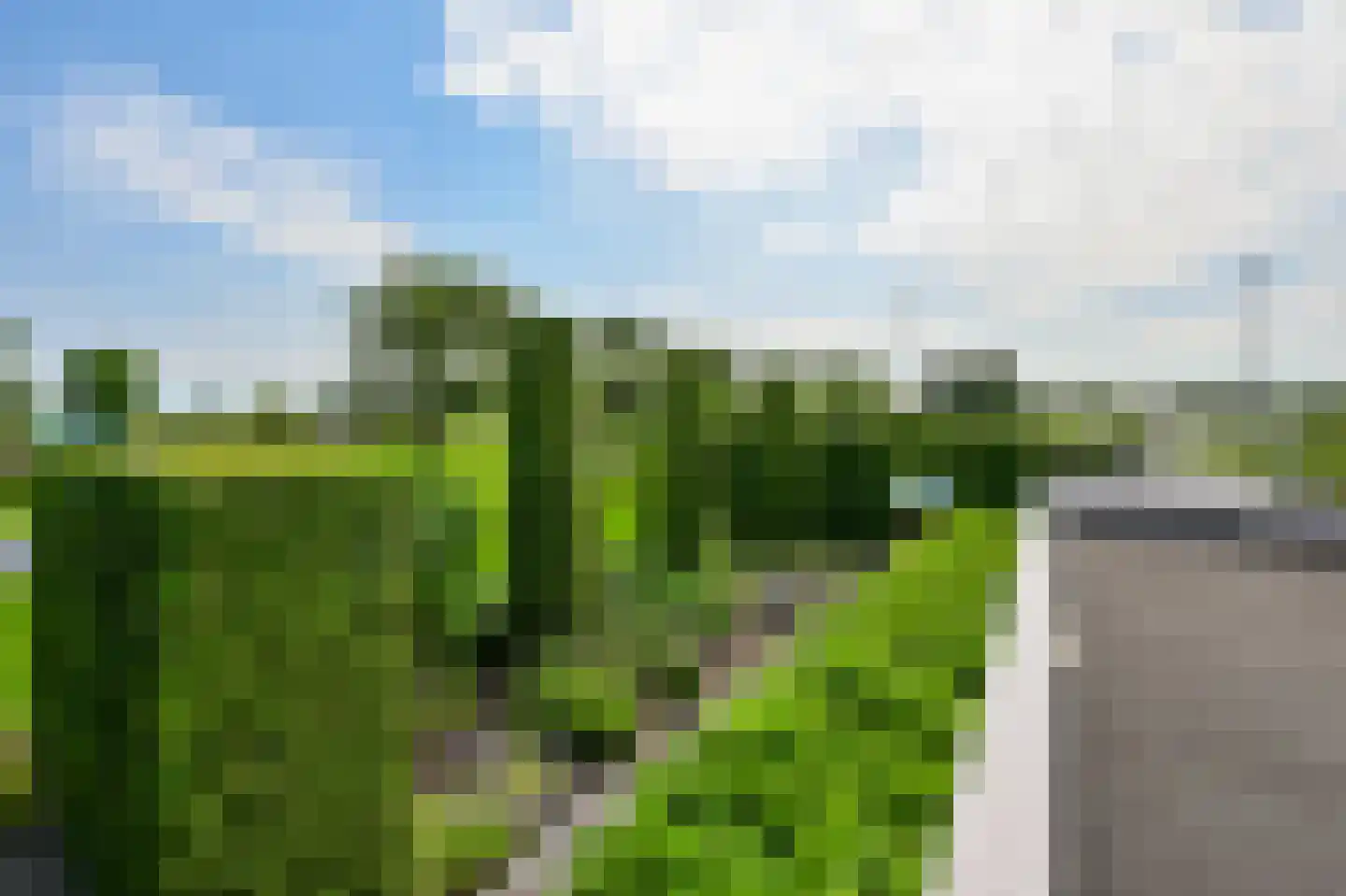 Zuid-Linschoterzandweg 67 Snelrewaard thumbnail 44