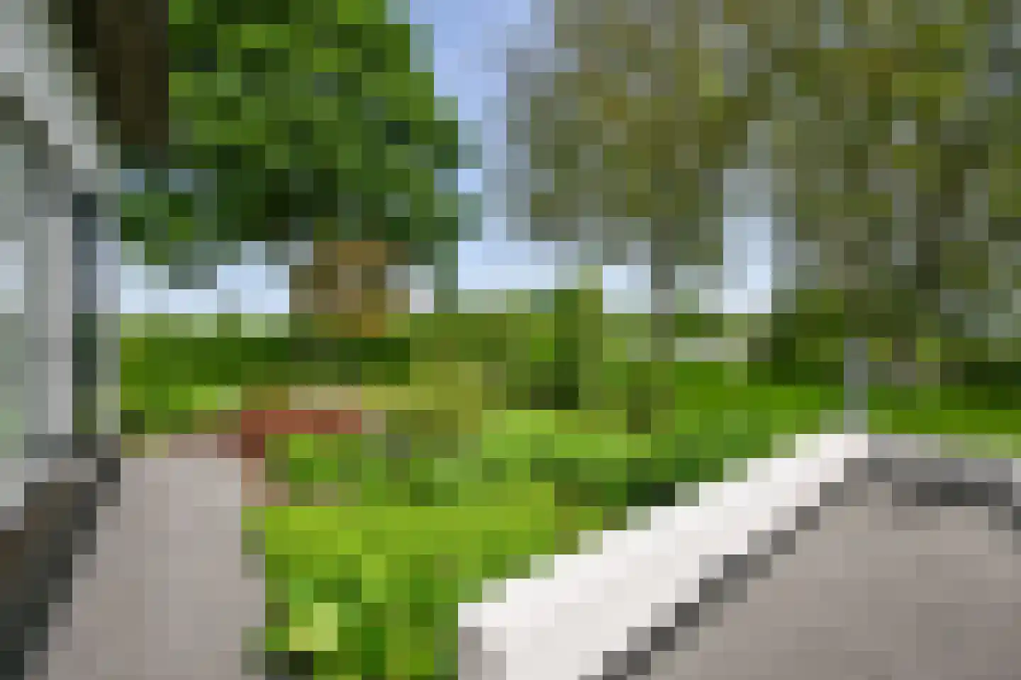 Zuid-Linschoterzandweg 67 Snelrewaard thumbnail 48