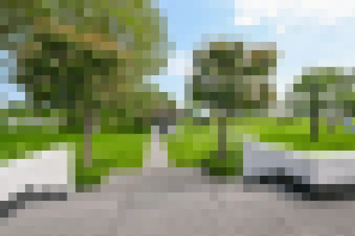 Zuid-Linschoterzandweg 67 Snelrewaard thumbnail 49