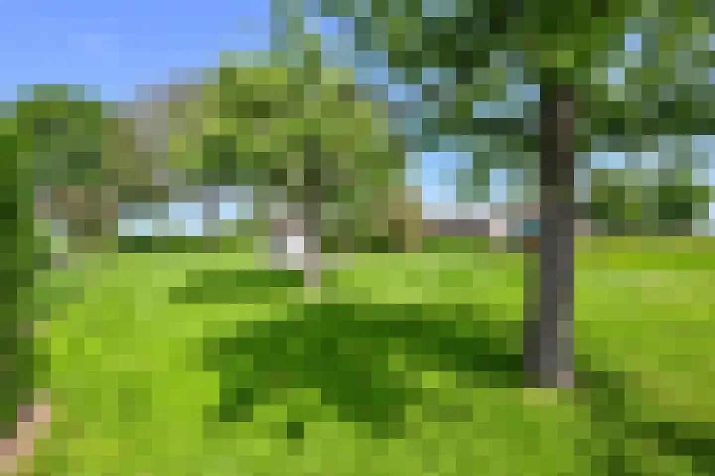 Zuid-Linschoterzandweg 67 Snelrewaard thumbnail 50