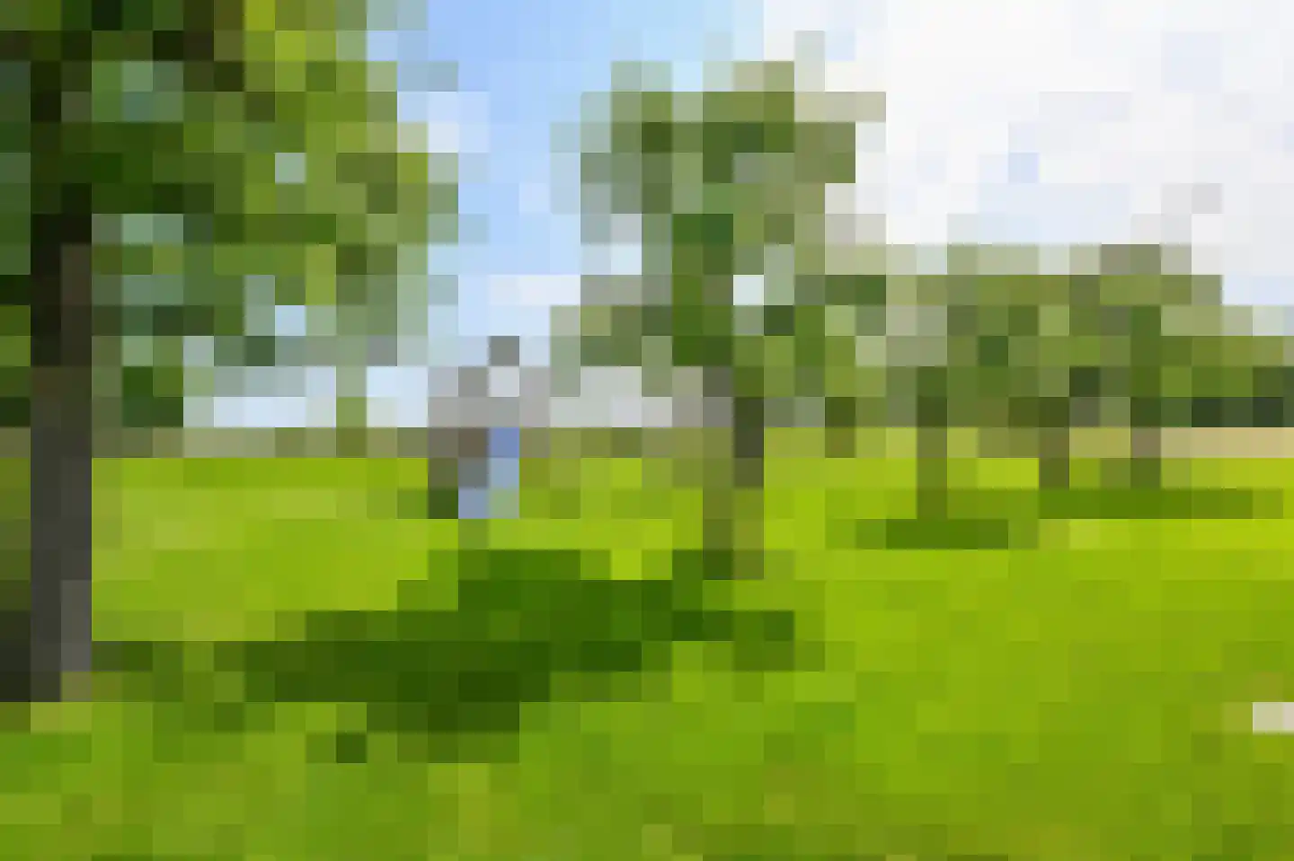 Zuid-Linschoterzandweg 67 Snelrewaard thumbnail 51