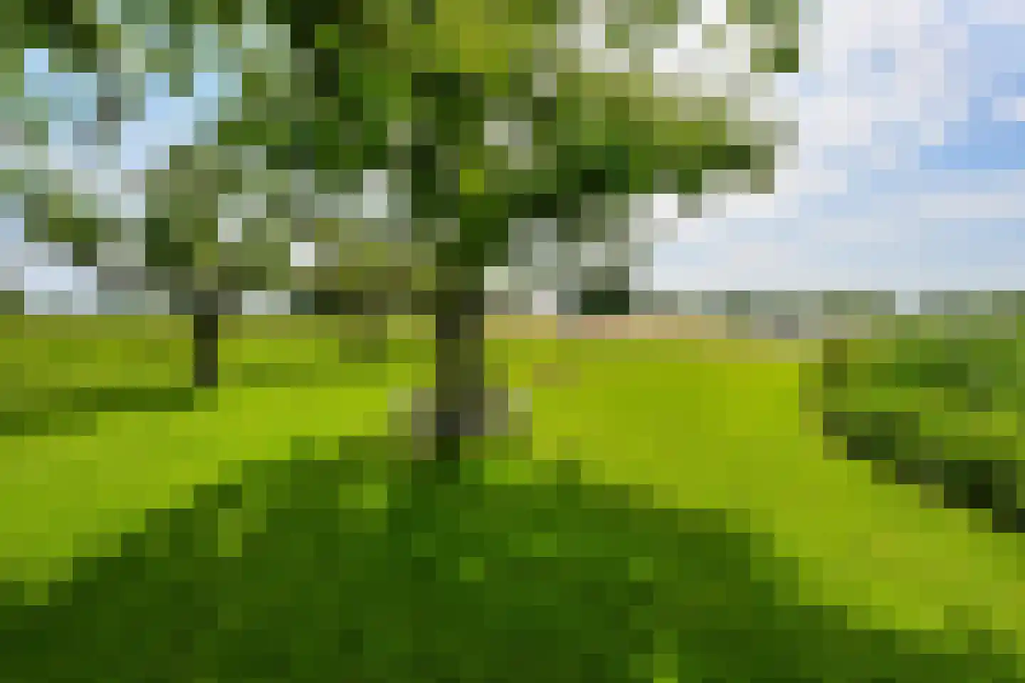 Zuid-Linschoterzandweg 67 Snelrewaard thumbnail 53