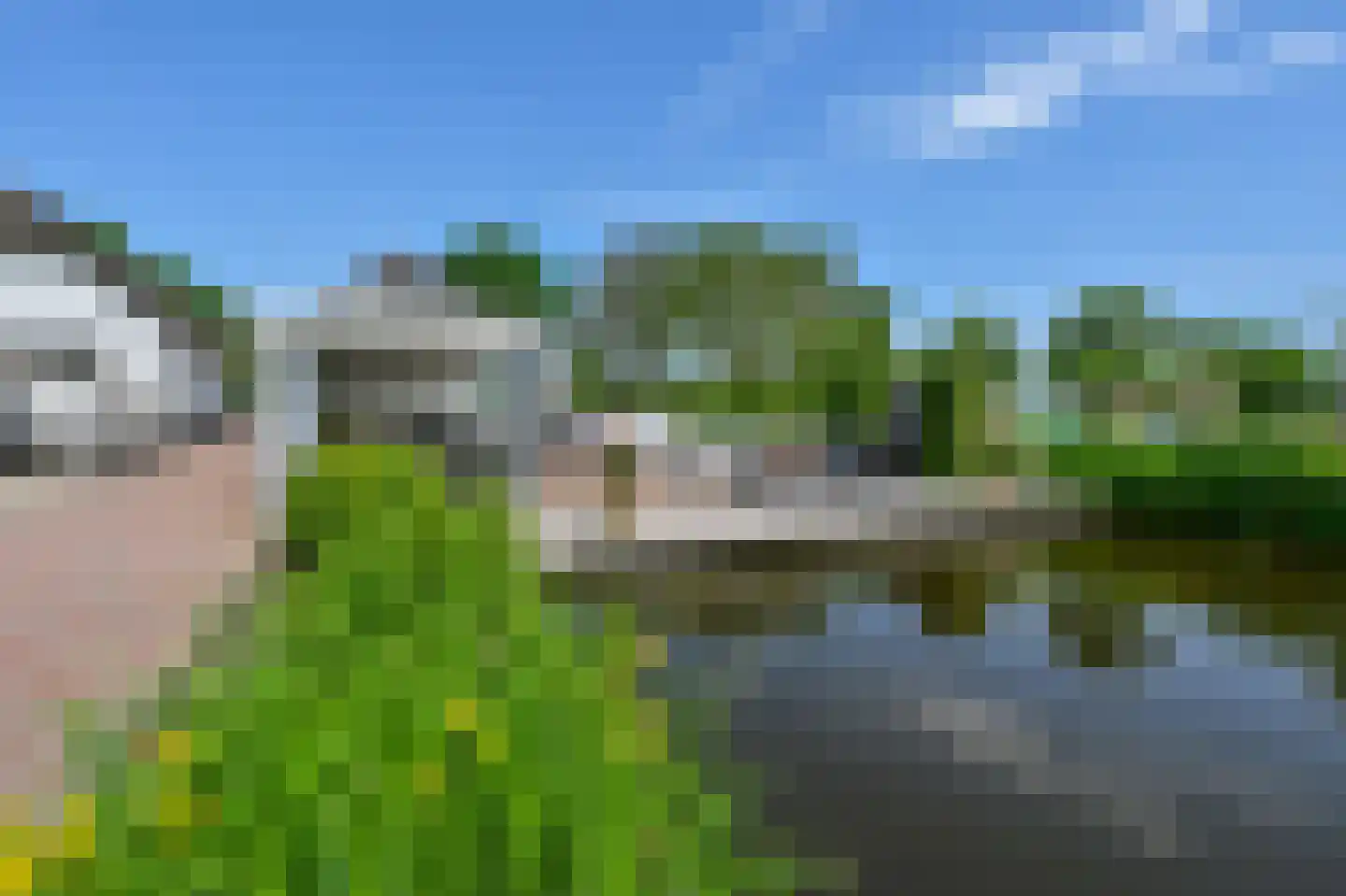 Zuid-Linschoterzandweg 67 Snelrewaard thumbnail 60