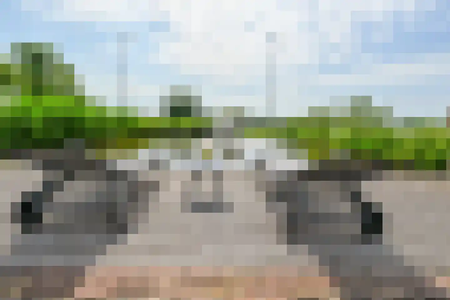 Zuid-Linschoterzandweg 67 Snelrewaard thumbnail 63