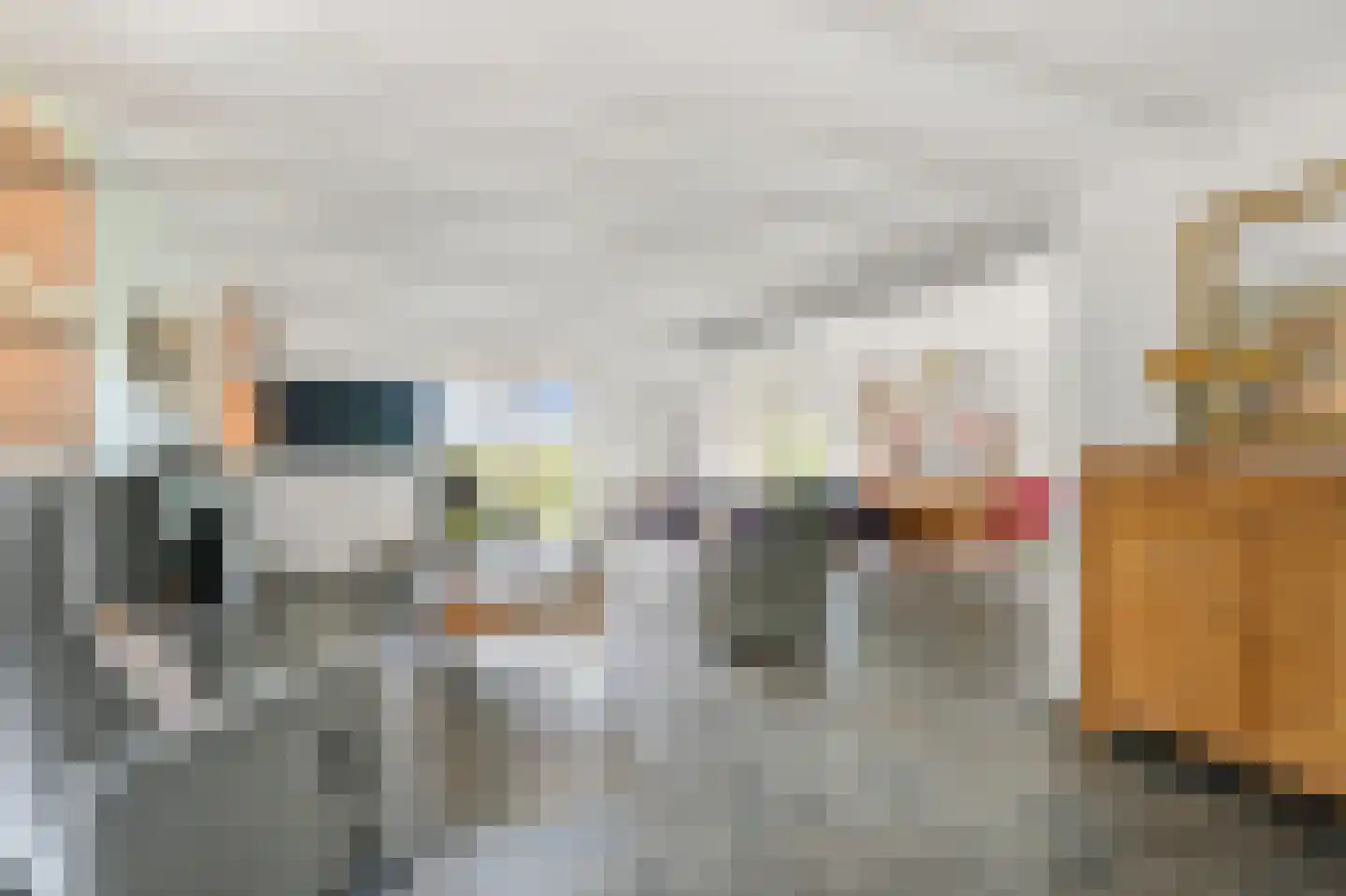 Zuid-Linschoterzandweg 67 Snelrewaard thumbnail 7