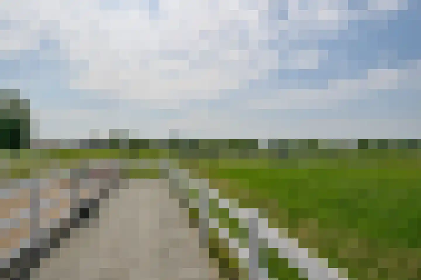 Zuid-Linschoterzandweg 67 Snelrewaard thumbnail 72