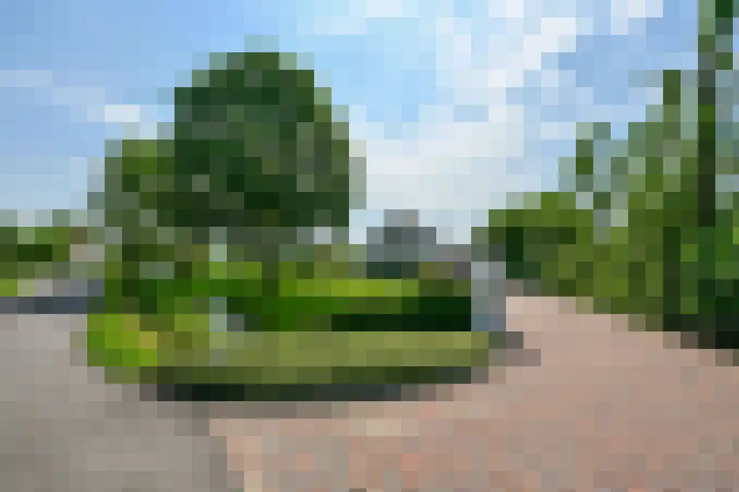 Zuid-Linschoterzandweg 67 Snelrewaard thumbnail 79