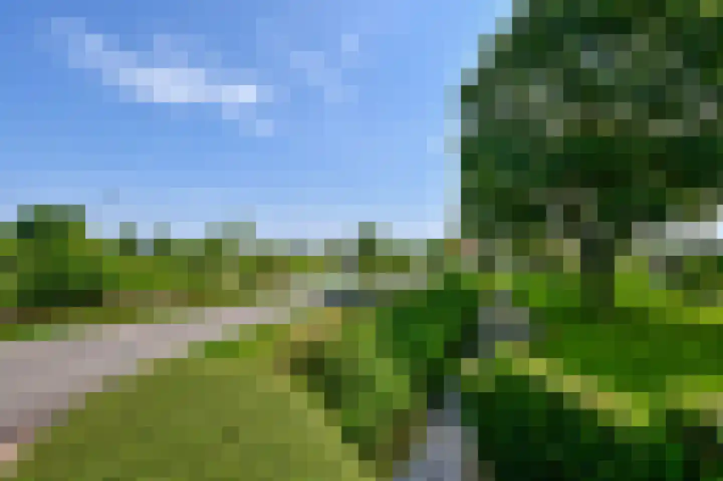 Zuid-Linschoterzandweg 67 Snelrewaard thumbnail 80