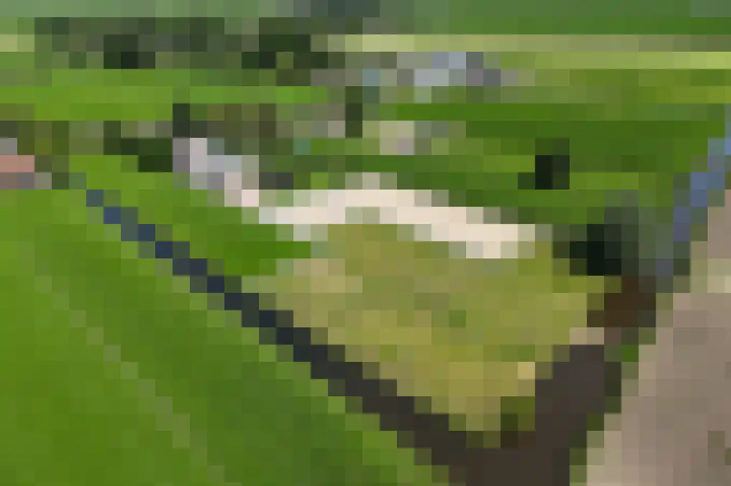 Zuid-Linschoterzandweg 67 Snelrewaard thumbnail 81