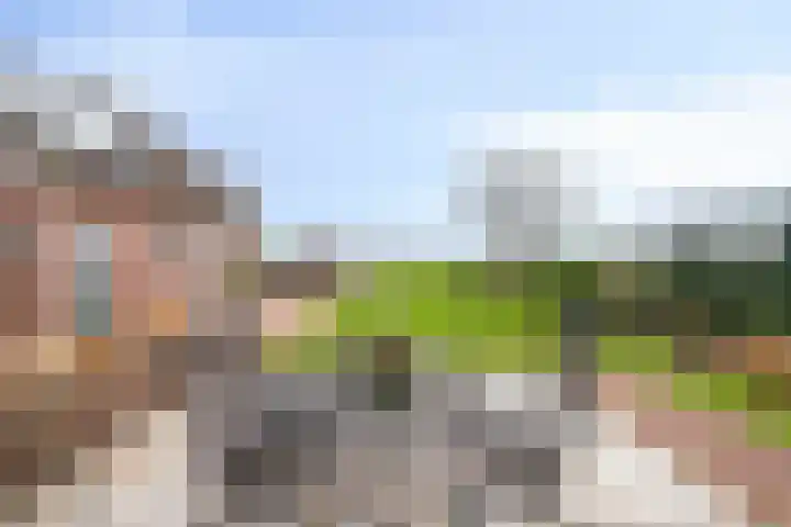 Zuid-Linschoterzandweg 75 Snelrewaard thumbnail 16