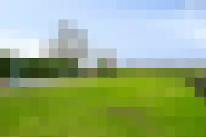 Zuid-Linschoterzandweg 75 Snelrewaard thumbnail 35