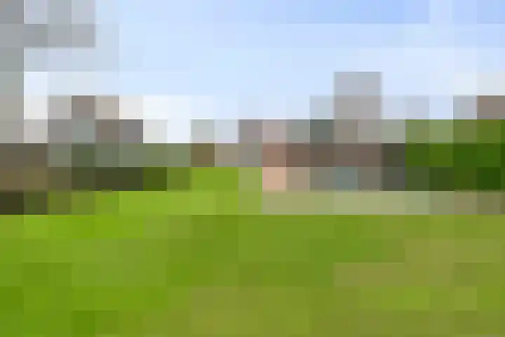 Zuid-Linschoterzandweg 75 Snelrewaard thumbnail 36