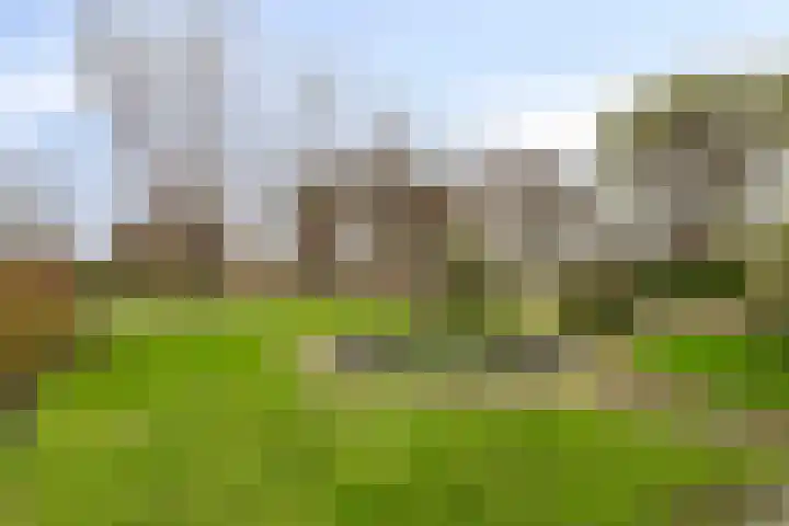 Zuid-Linschoterzandweg 75 Snelrewaard thumbnail 4