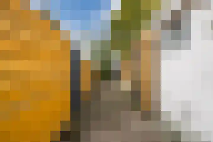 Zuid-Oosterstraat 15 Tilburg thumbnail 33