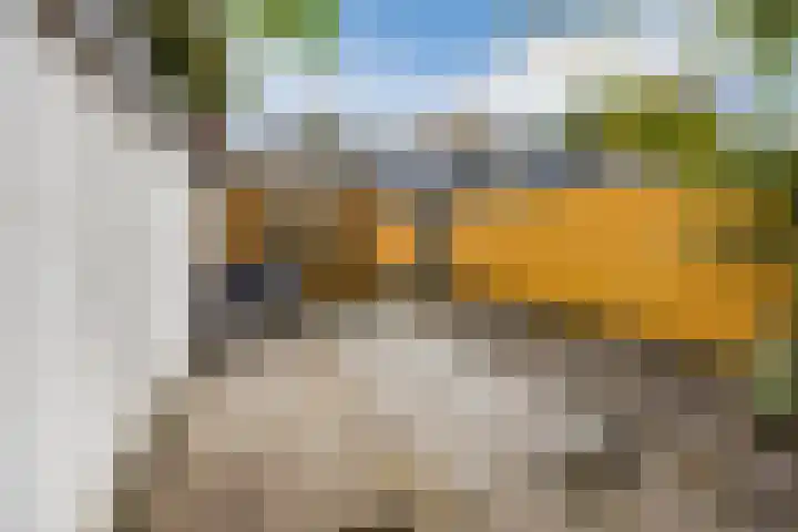 Zuid-Oosterstraat 15 Tilburg thumbnail 39