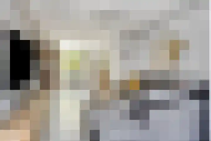 Zuid-Oosterstraat 26 Tilburg thumbnail 6