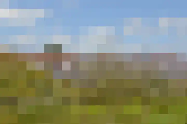 Zuid-oostraklaan 18 Utrecht thumbnail 41