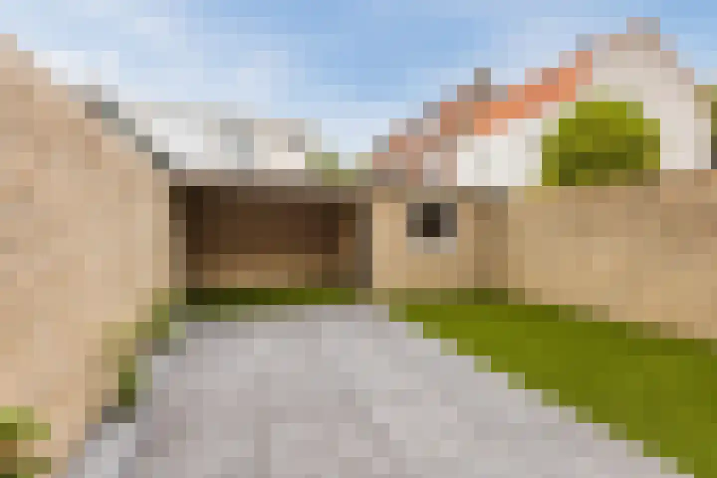 Zuid-Oostsingel 13 Bergen op Zoom thumbnail 37